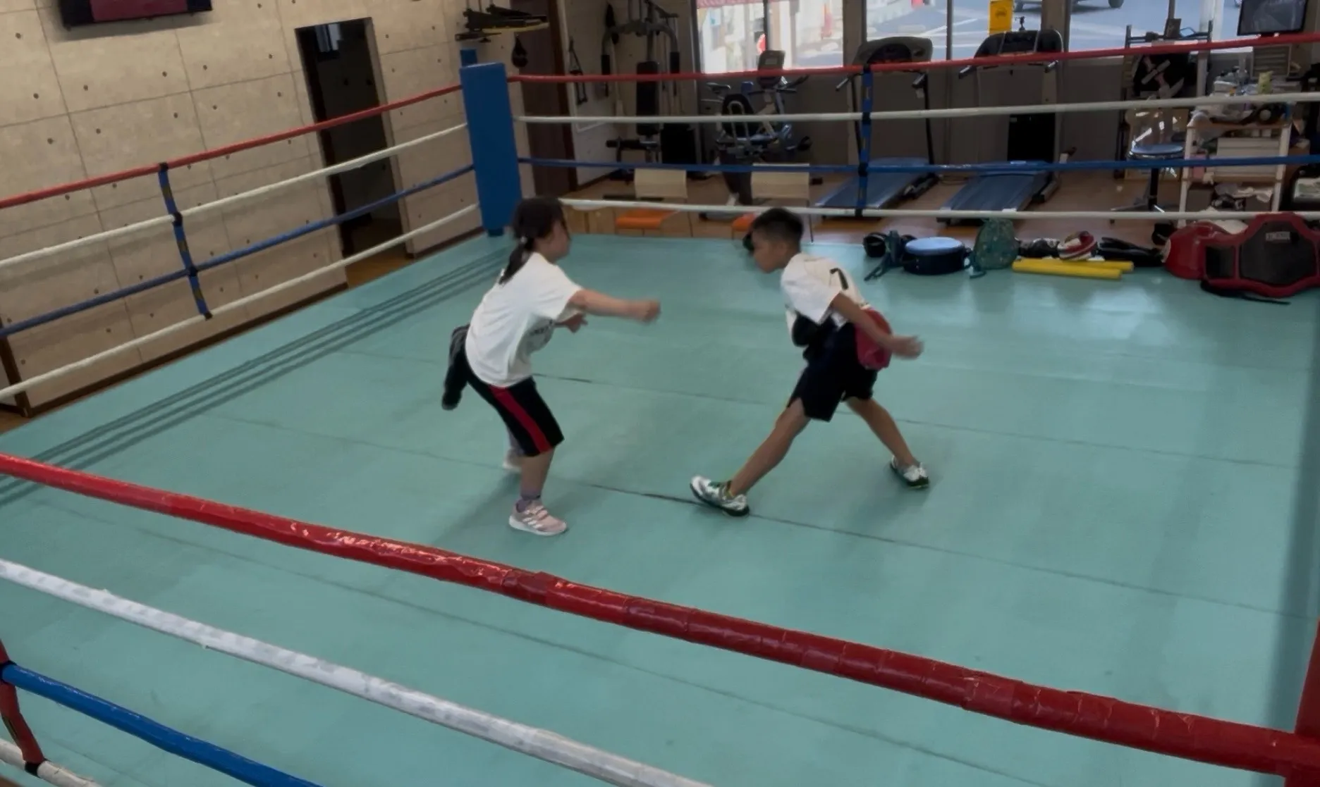 シッポ取りゲーム！